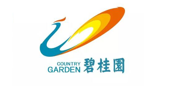 伊盾合作伙伴-碧桂園